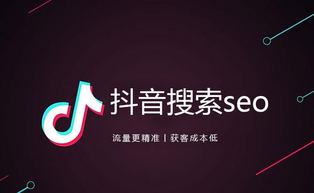 抖音SEO优化指南（打造高效抖音SEO）