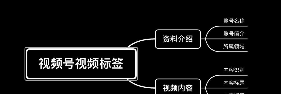 探秘视频号运营类别（打造自己的创意IP）