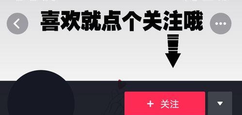 如何解决抖音每天关注上限问题（实用技巧帮你轻松突破抖音关注上限难关）