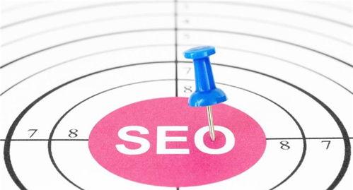 如何进行网站排名优化SEO（掌握关键技巧让你的网站更上一层楼）