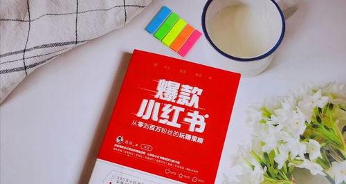 小红书涨粉秘籍（从口碑营销到互动交流）