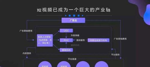 如何利用短视频平台促进电商业务发展（探究TikTok电商合拍短视频的优势）