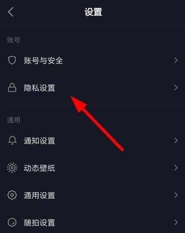 揭秘抖音隐私设置（抖音隐私设置详解，你需要知道的那些事）