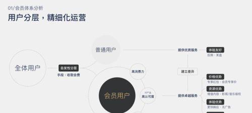 如何提升品牌影响力与用户粘性（小红书最新运营方法解析）