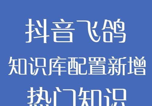 抖音飞鸽新增人效指标是什么（探究抖音飞鸽新特性）