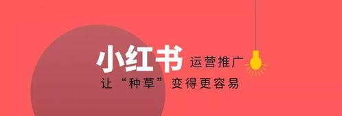 选择小红书的营销优势剖析（探究小红书在产品营销中的地位与价值）