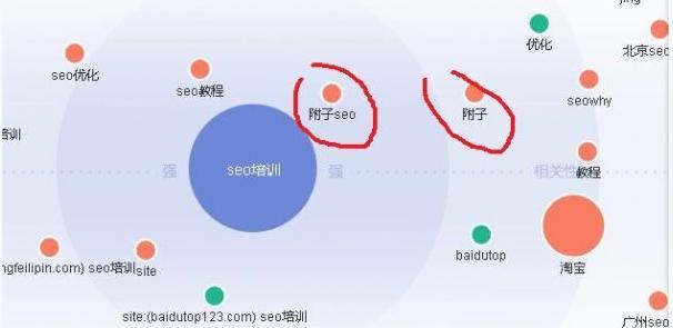 如何选择适合SEO优化的（百度SEO优化分析、基础优化方法和核心教程）