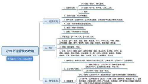 小红书推荐技巧大揭秘（打造受欢迎的小红书内容，让你的笔记热门爆款！）