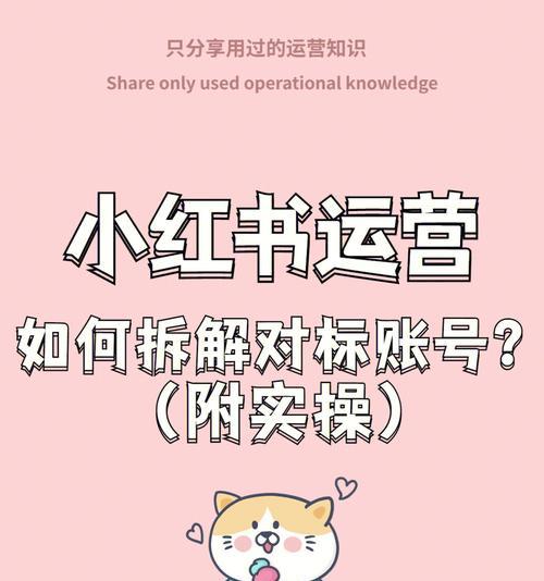 小红书账号运营实战总结与规划（打造优质内容，提升用户粘性，拓展商业价值）