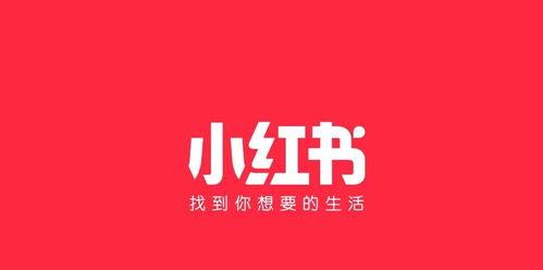 小红书爆文技巧（提高阅读量的小技巧）