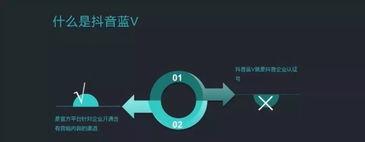 抖音如何申请免费蓝V账号（免费申请蓝V账号的详细教程）