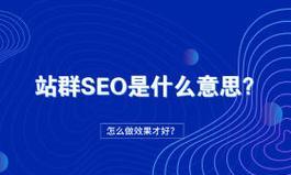 SEO网站优化收录情况分析（探讨如何提升网站seo）