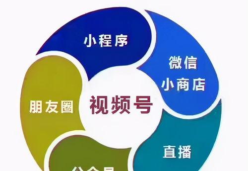 微信视频号直播的盈利模式（了解微信视频号直播如何创造价值）