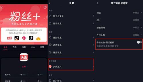 如何参加抖音中视频计划（让你成功参与视频计划）