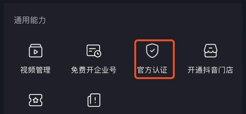 抖音号认证蓝V的意义与用途（打造个人品牌，增加粉丝黏性）