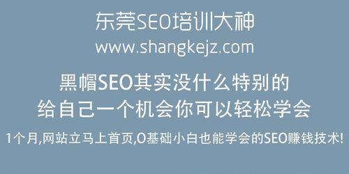 网站SEO优化（一些简单易行的技巧和方法）