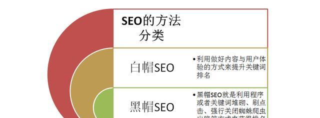 SEO常用术语详解（从初学者到高手，掌握这些助你网站优化进阶）