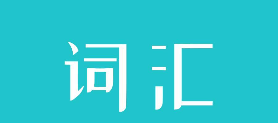 SEO专业术语解析——优化你的网站排名（掌握SEO术语，轻松优化网站排名）