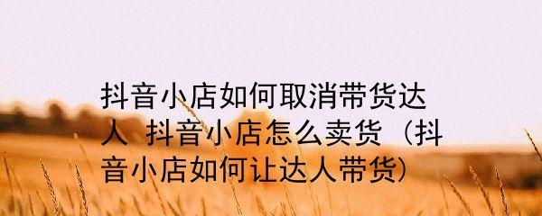 抖音小店流量大提升销售利润不难（抖音小店营销策略分享如何增加流量和客户数）