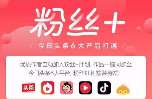 抖音带货爆款产品大盘点（这些产品在抖音上卖得最火）