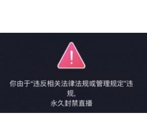 揭秘抖音严重违规事件，危害无穷！（严重违反法律法规，带来了不良社会影响，涉及用户权益。）