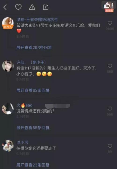 快手粉丝最多的是谁？（揭秘快手红人的真面目）