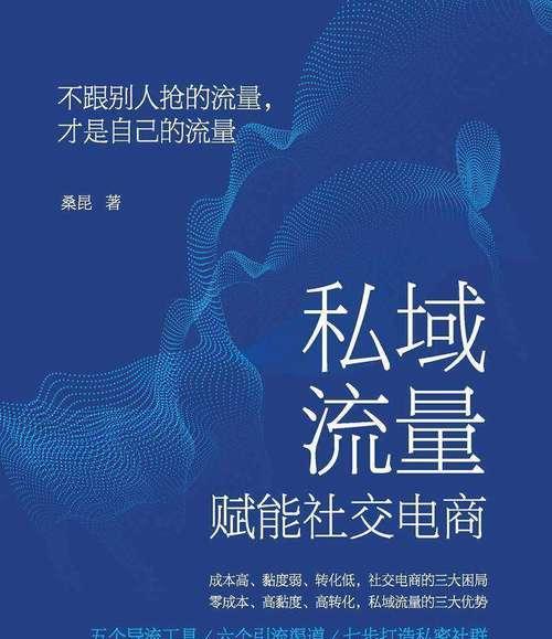 建立流量池（通过流量池的建立，实现网站流量的持续稳定增长）