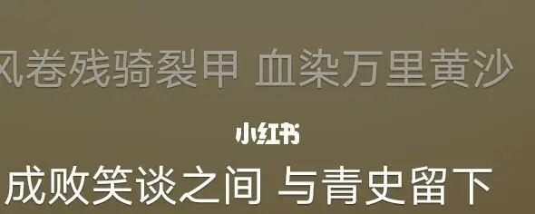 排名差异的原因剖析（探究同一篇文章在不同平台上的排名差异和影响因素）