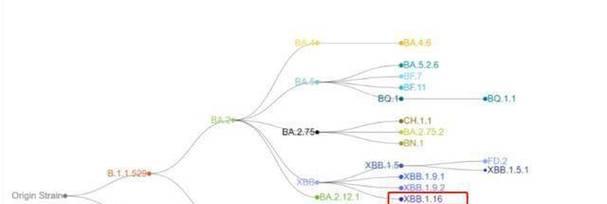 词库增长的快速法则（掌握这些方法，让你的词库飞速增长！）