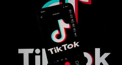 TikTok和抖音的区别（探究两大短视频平台的不同之处）