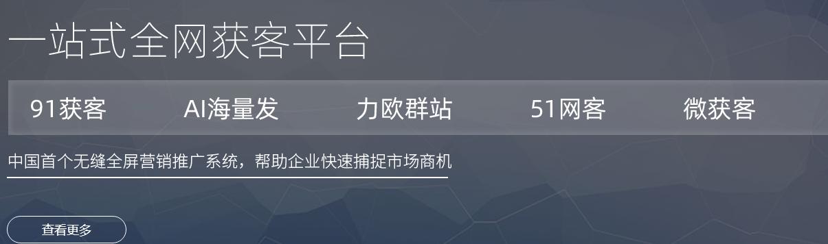 实用的企业网络推广优化方案（通过策略性规划和优化技巧，提升网络推广效果）