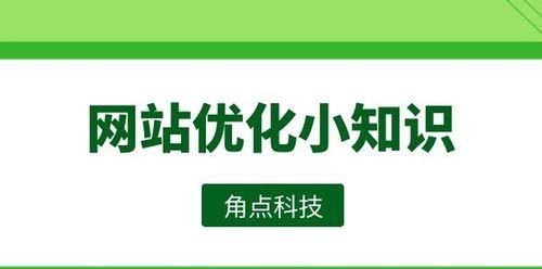 企业网站优化的重要性（如何让企业网站在竞争中脱颖而出）