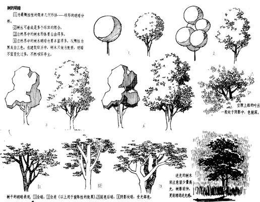 企业网站设计师基本功修炼记（打造精美网站的10个关键技能）