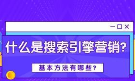 为何企业需要投资搜索引擎优化？（探讨SEO对企业长远发展的重要性和必要性）