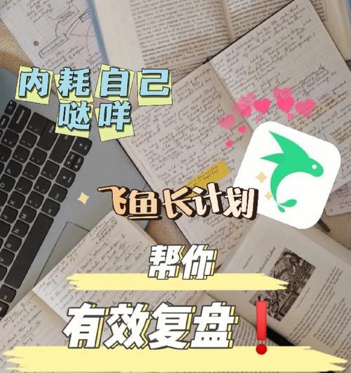 单页面优化策略（打造用户体验和搜索引擎友好的单页面）