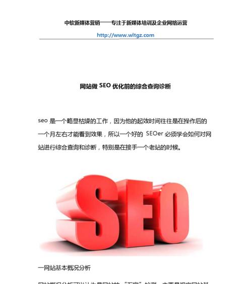 如何评估一个网站的SEO优化难易程度？（掌握评估技巧，提高优化效率）