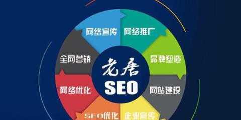 如何利用SEO技巧增加网站流量？（SEO引流策略详解）