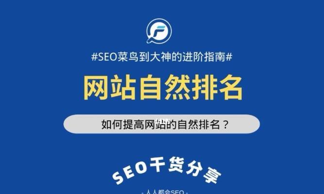 八个提升网站排名的关键策略（如何在竞争激烈的互联网市场中脱颖而出）