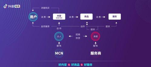 抖店服务市场如何应对服务商扰乱平台秩序（维护平台正常运营的措施与方法）