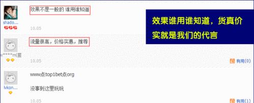 提高购物网站流量的SEO技巧（如何通过SEO提升购物网站的搜索排名，吸引更多流量？）