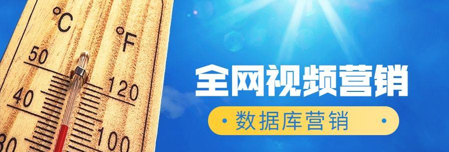 如何提升排名？——网络推广实用技巧剖析（10个段落，详细解读SEO排名优化的重要性和方法）