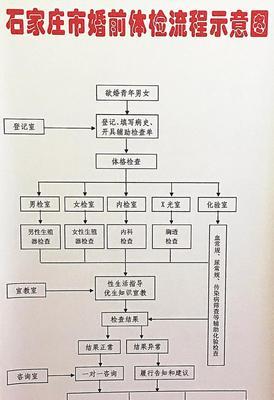 网站检查的关键问题（提升用户体验和SEO排名的10个注意点）