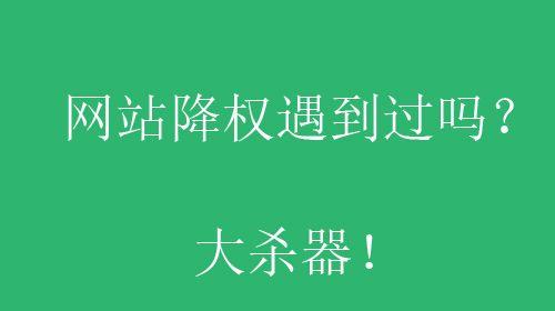 网站降权后应该如何应对？（解决网站降权问题，提高网站权重）