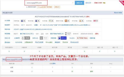 如何解决网站内容不被收录的问题（掌握SEO技巧，提升网站排名）