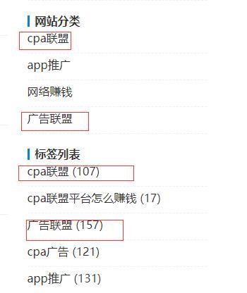 网站首页标题和的正确设置方法（提高网站排名，吸引更多目标用户）