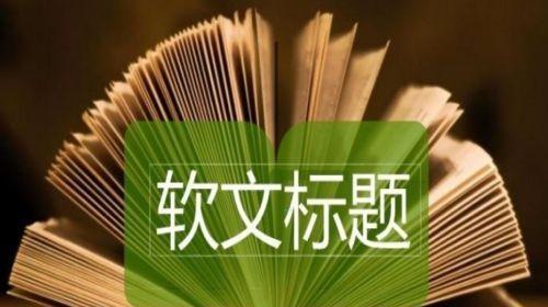 优化网站文章，提升阅读体验（如何增强文章可读性，吸引更多读者）