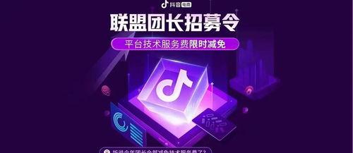 如何高效管理抖音精选联盟团长商品（联盟团长商品管理技巧大揭秘）