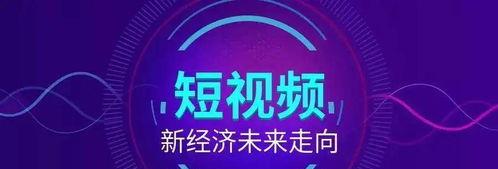 如何绑定抖音渠道号为主题（让你的内容更加专业化）