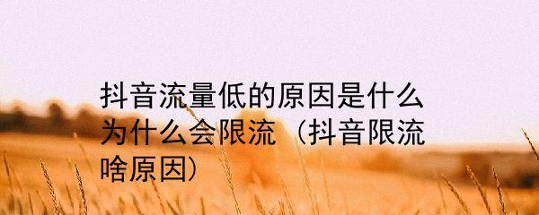 抖音发布的视频被限流问题分析与解决（限流问题的原因和解决方法，助你轻松发布优质内容）