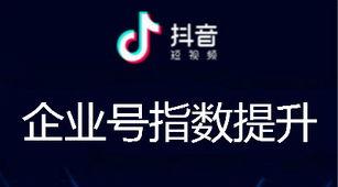 探秘抖音企业号（企业号的特点与注意事项）